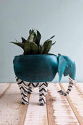 PLANT POTS Pachy The Elephant Metal Planter (Teal)