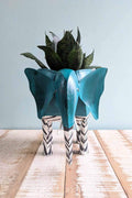 PLANT POTS Pachy The Elephant Metal Planter (Teal)