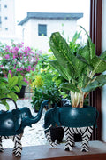 PLANT POTS Pachy The Elephant Metal Planter (Teal)