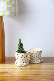 PLANT POTS Polka Lavender Herb Planter With Tray (Set Of 2)
