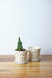 PLANT POTS Polka Lavender Herb Planter With Tray (Set Of 2)