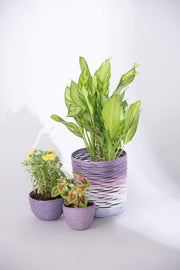 PLANT POTS Recycled Mauve Small Planter (Set Of 2)