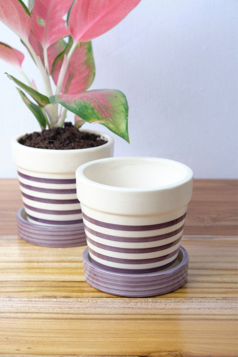 PLANT POTS Stripe Lavender Herb Planter With Tray (Set Of 2)