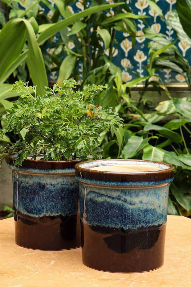 PLANT POTS Studio Line Black/Blue Herb Planter (Set Of 2)