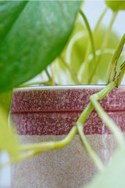 PLANT POTS Studio Line Herb White/Pink Jar Planter (Set Of 2)