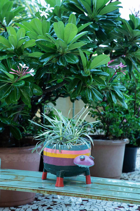 PLANT POTS Turbo the Turtle Planter (Multi-Colored)